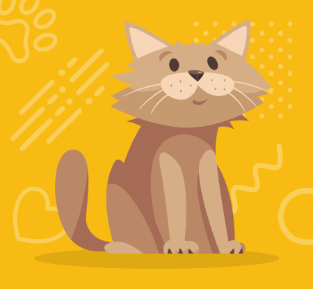 cat blog image